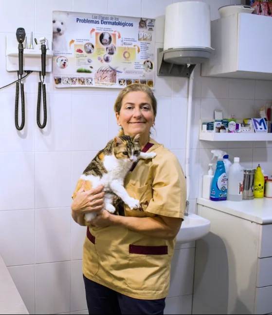 Veterinaria sosteniendo un gato en la consulta