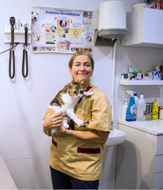 Veterinaria sosteniendo un gato en la consulta