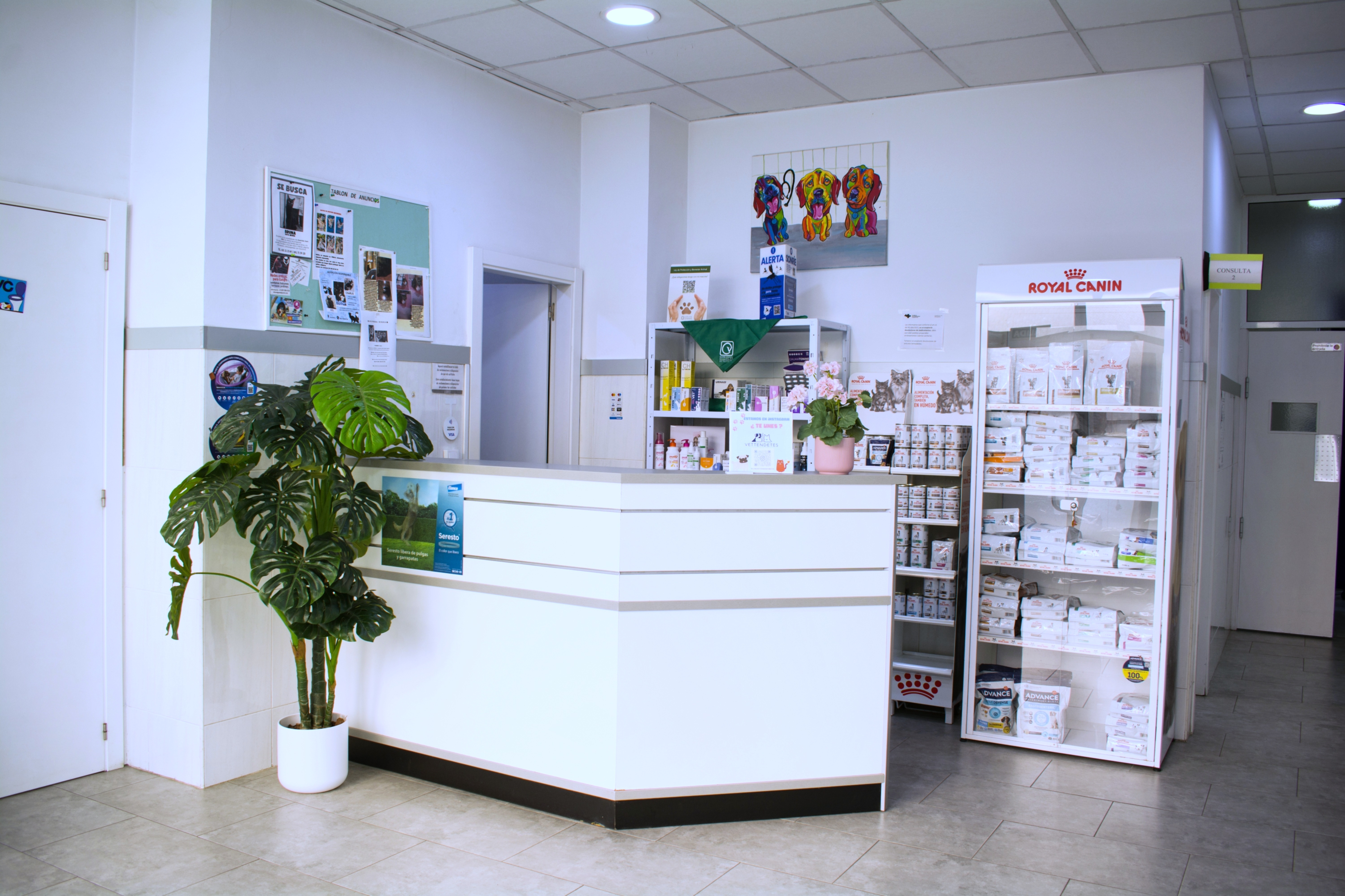 Recepción de Clínica Veterinaria Tendetes en Valencia.